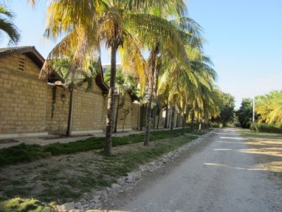 village des dattes gonaives
